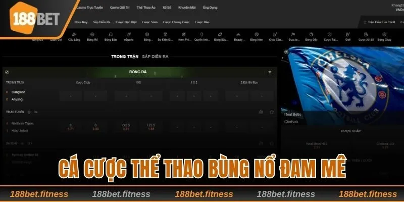 Cá cược thể thao xanh chín tận hưởng đam mê