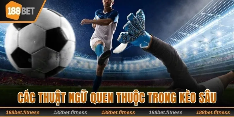 Các thuật ngữ quen thuộc trong kèo sâu
