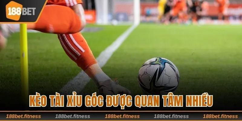 Kèo tài xỉu góc được quan tâm nhiều
