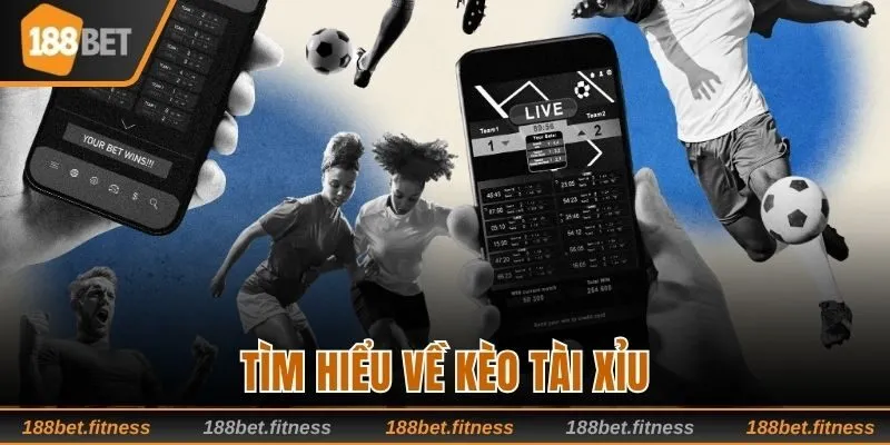Tìm hiểu về kèo tài xỉu