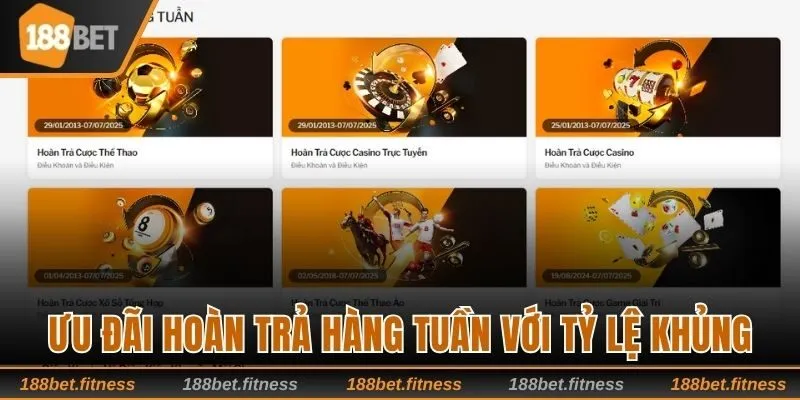 Ưu đãi hoàn trả hàng tuần với tỷ lệ khủng 